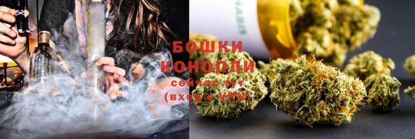 бошки Алексин