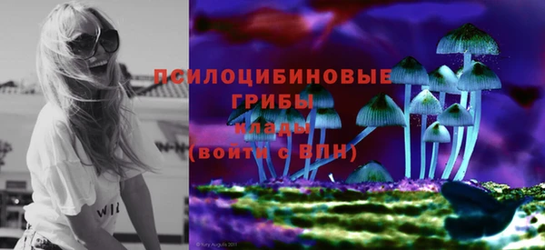 бошки Алексин