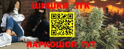 индика Комсомольск-на-Амуре