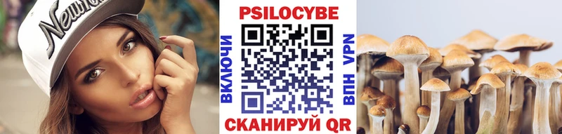 цена наркотик  Кызыл  Галлюциногенные грибы Cubensis 