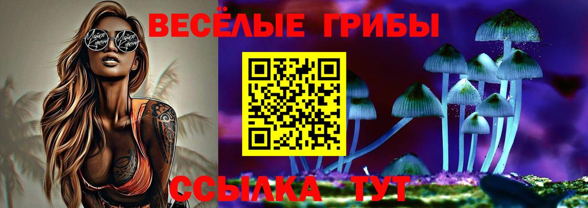 Галлюциногенные грибы Magic Shrooms Кызыл