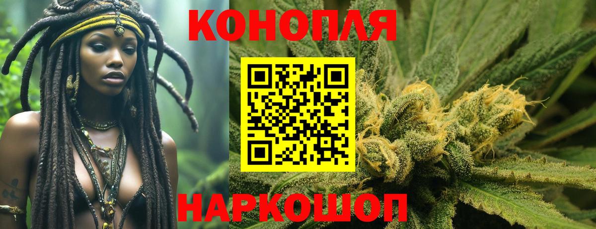 Марихуана сатива Кызыл